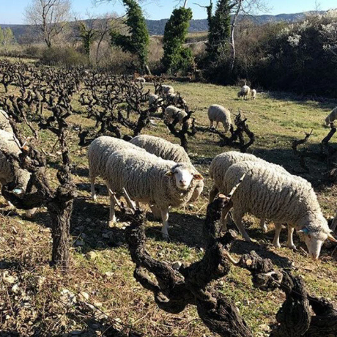 La Femme a qui? 2019 - Image 3