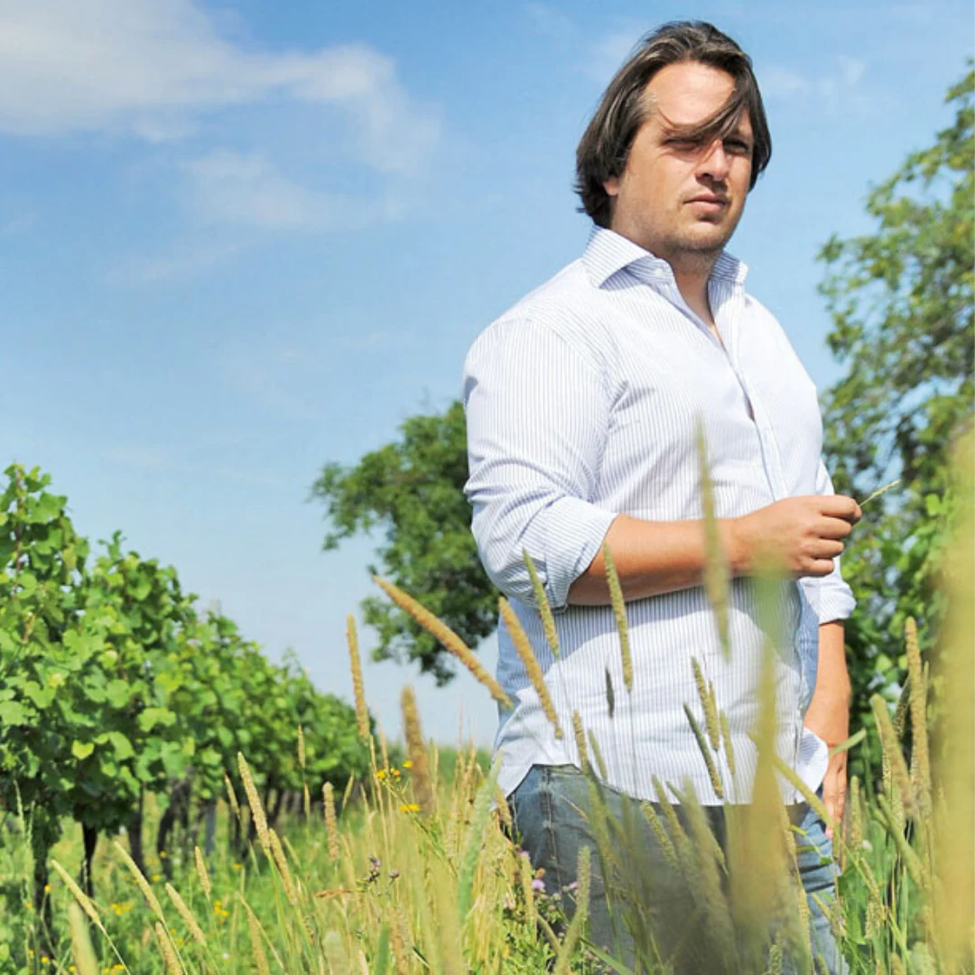 Himmel Auf Erden Rosé 2024 - Image 4