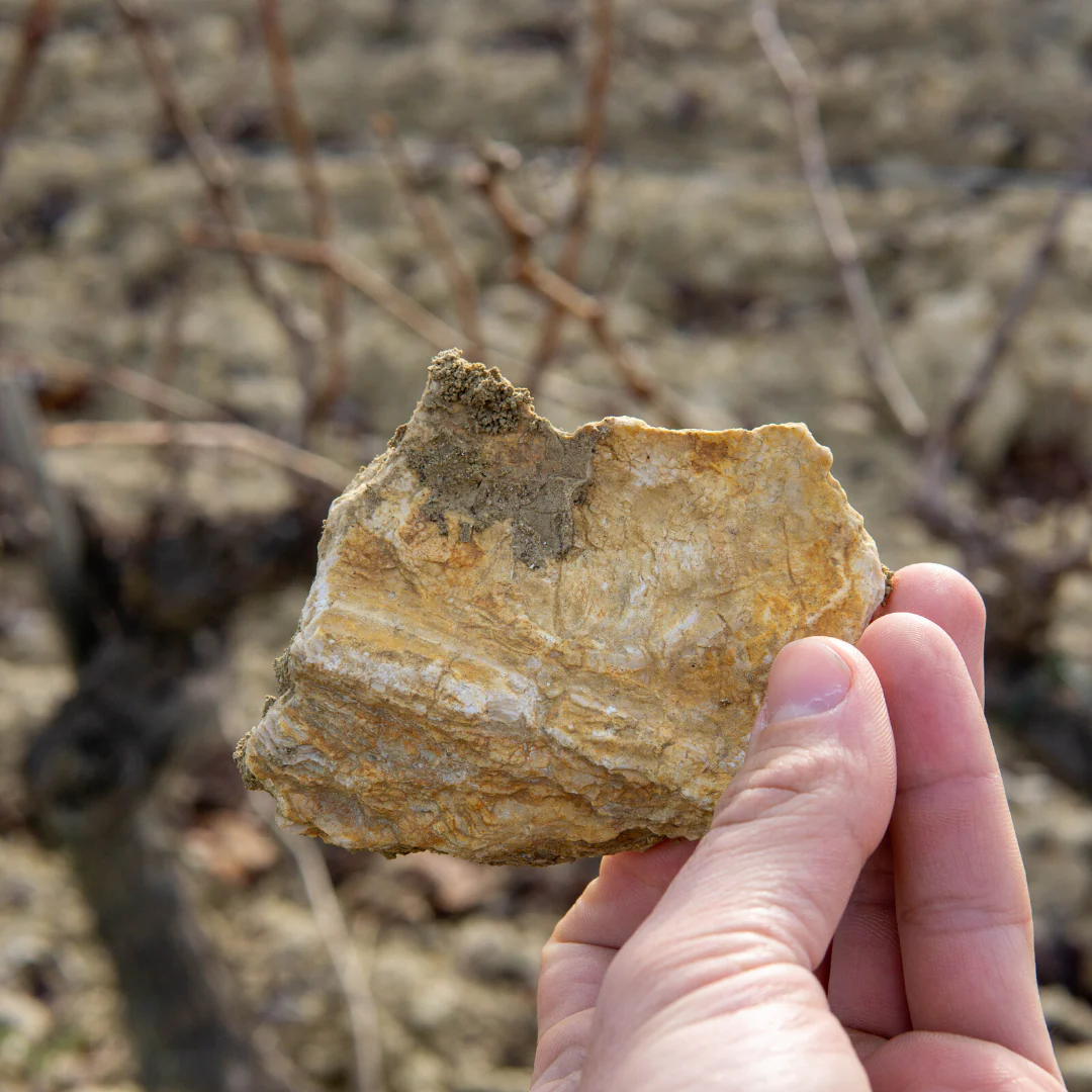 Lluerna 2021 - Image 4