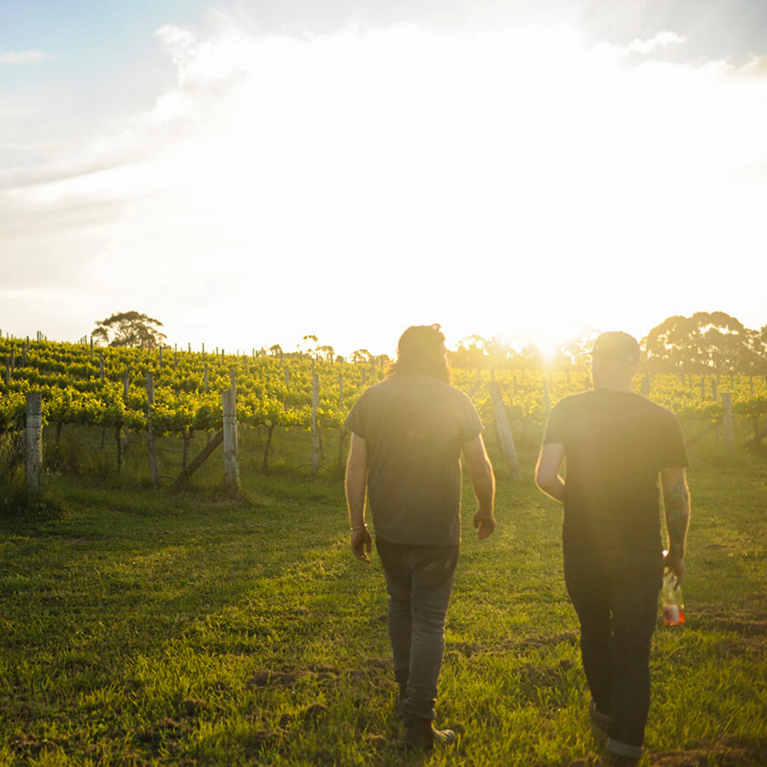 Noir Dee Doot Dah 2021 - Image 4