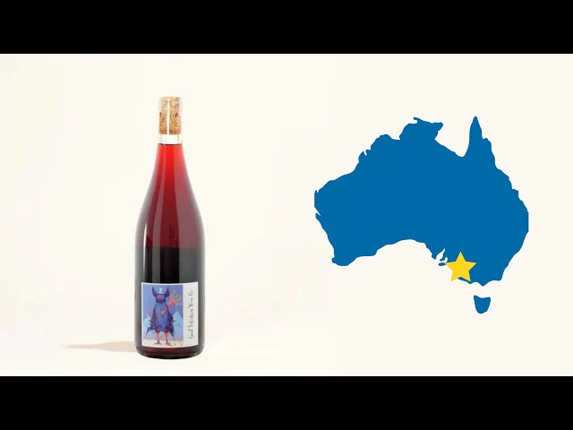 Noir Dee Doot Dah 2021 - Image 5