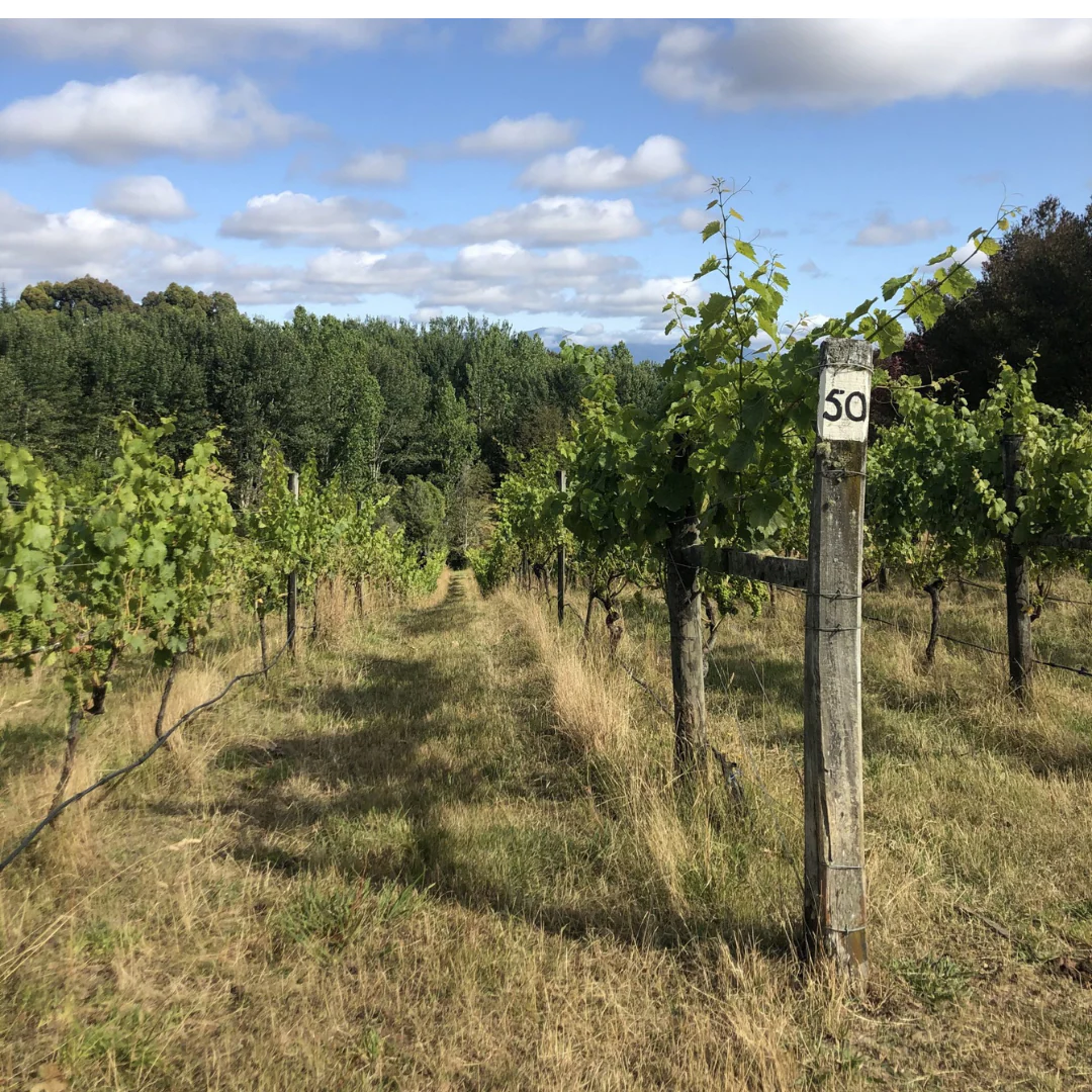 Casablanca 2020 - Image 4