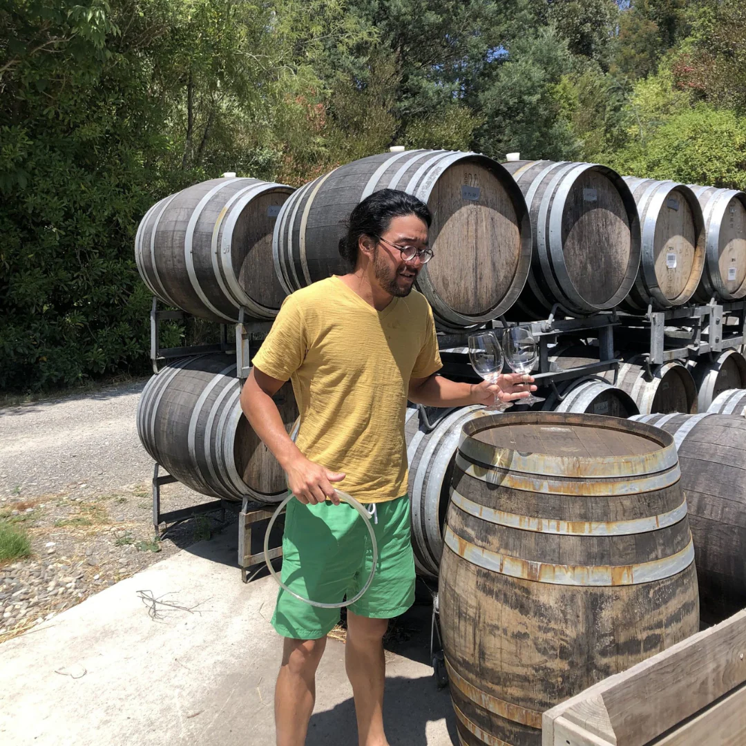 Sunflower 2020 - Image 3