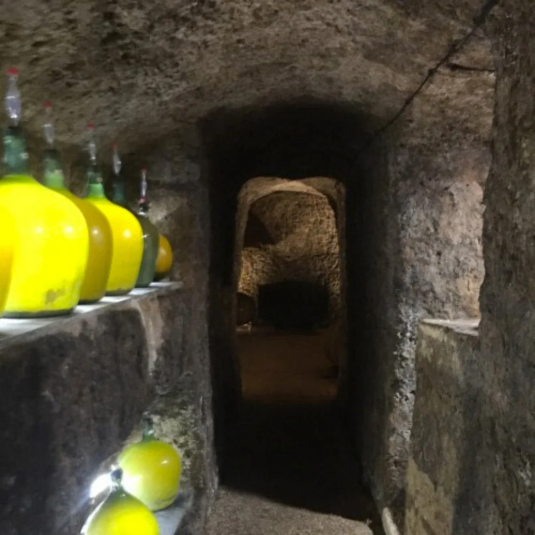 Nieva York 2020 - Image 4