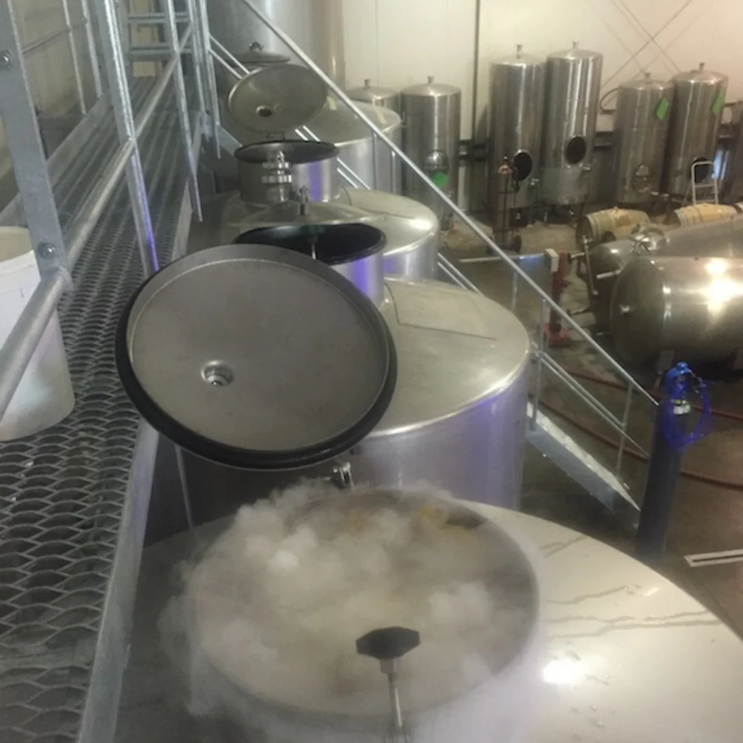 The Supernatural 2020 - Image 5