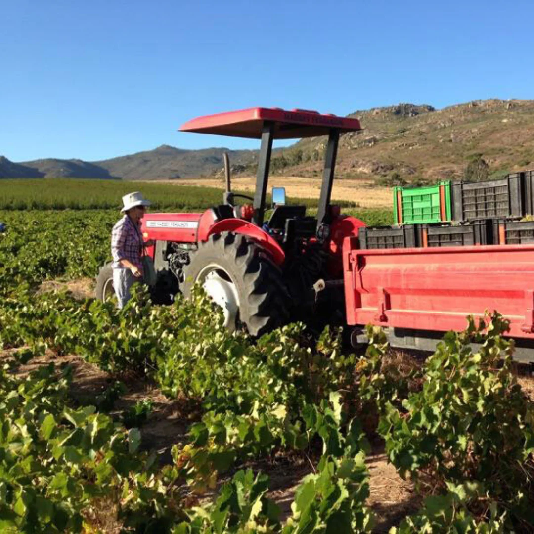 I am the Ninja 2023 - Image 4