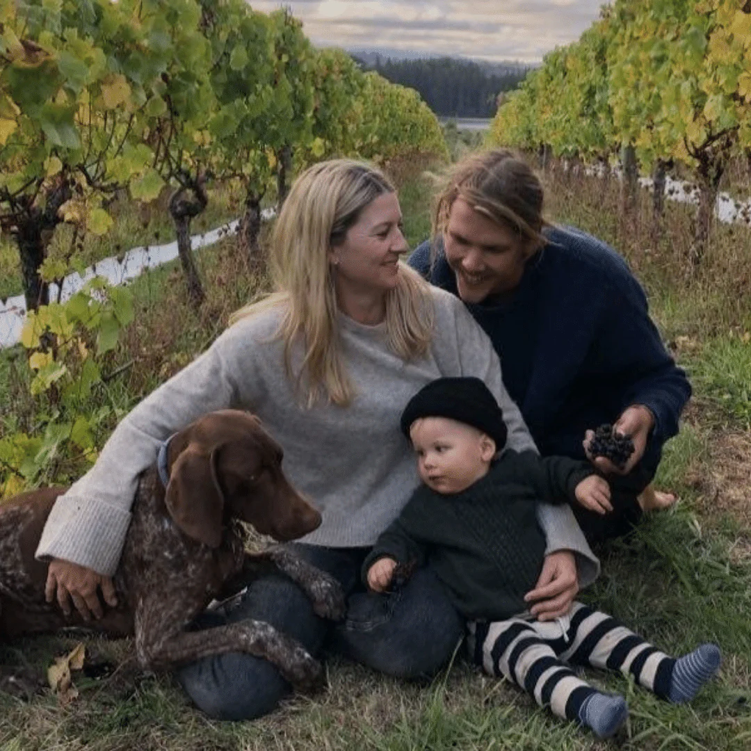 Rising Sun Skin Contact 2020 - Image 3