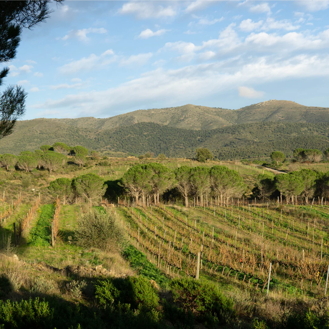 Hunky Dory 2019 - Image 3